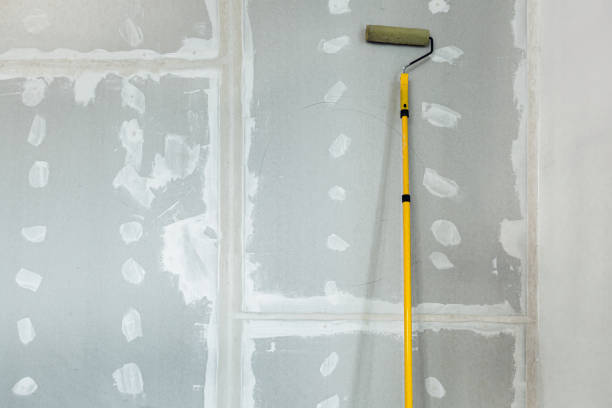 Best Basement Mold Removal  in Madrid, IA