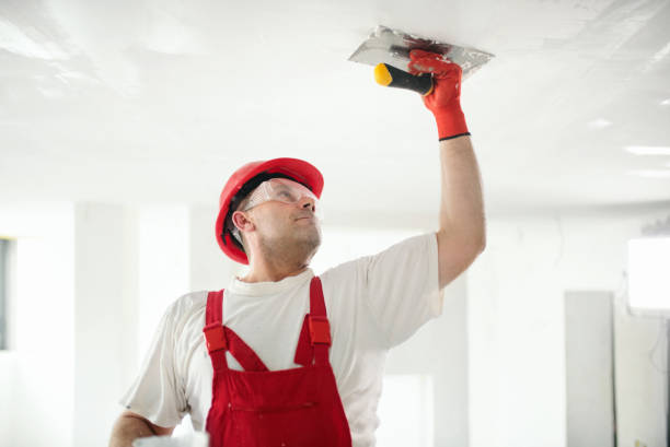 Trusted Madrid, IA Mold Removal Experts