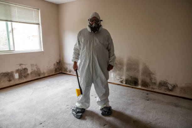 Mold Remediation for Rental Properties in Madrid, IA